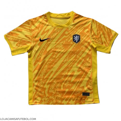 Camisa de Futebol Holanda Goleiro Equipamento Secundário Europeu 2024 Manga Curta